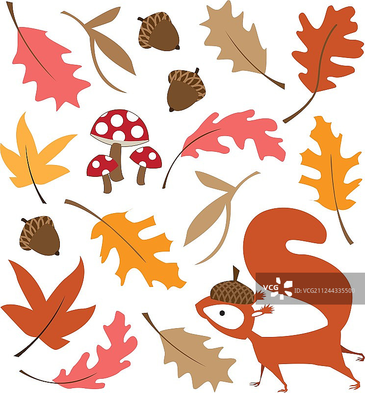 秋天的落叶图片素材