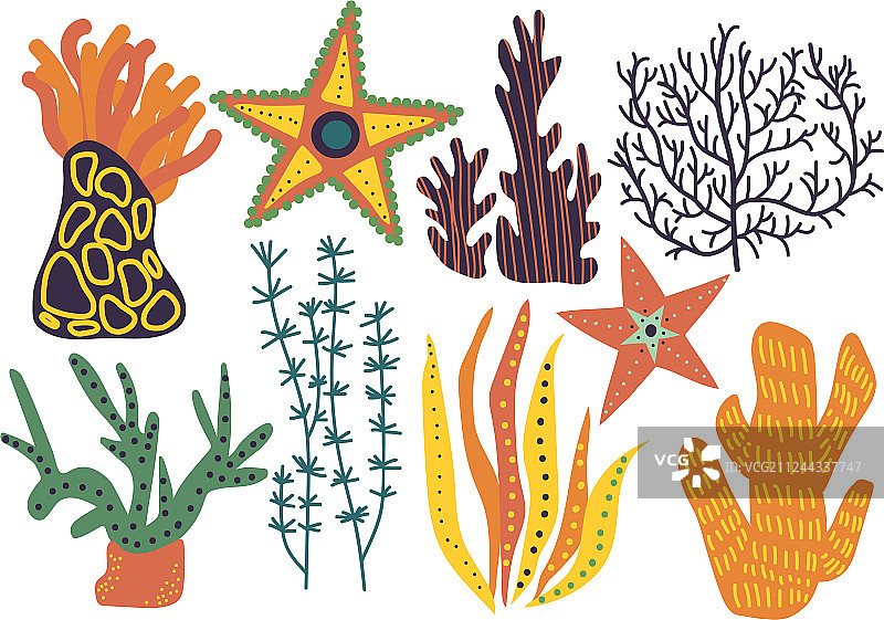 海洋或水族馆天然海藻彩色套装图片素材