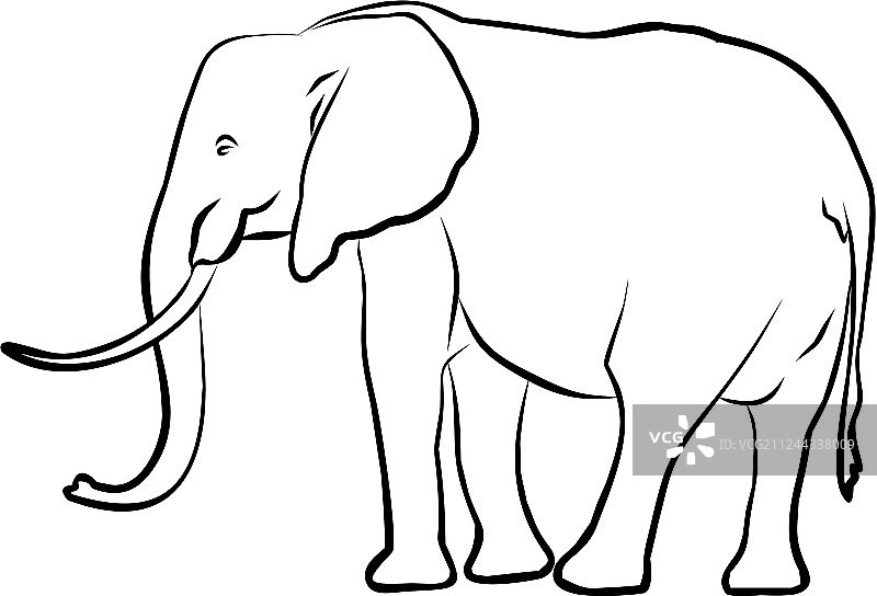 大象草图图片素材