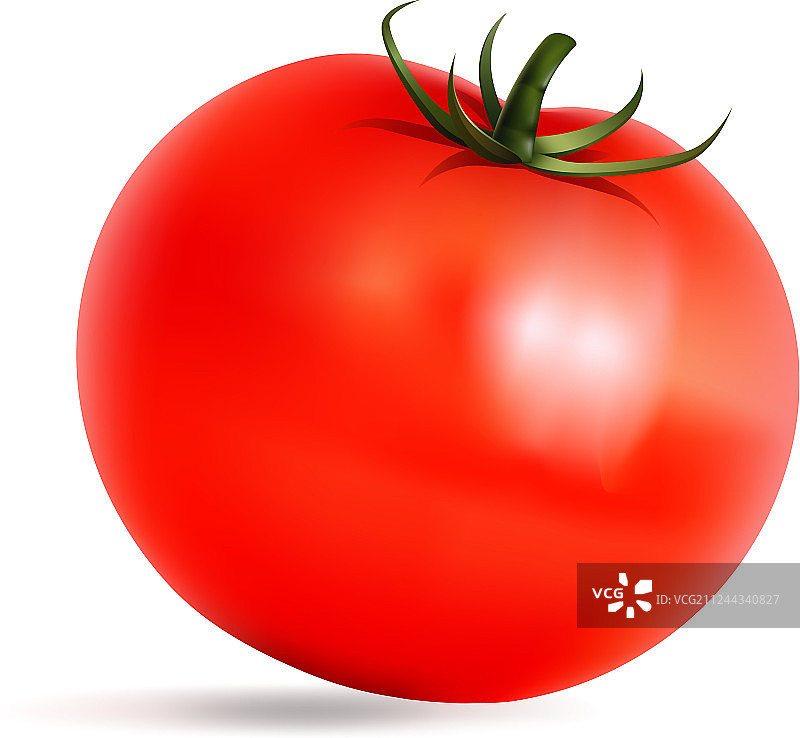 新鲜红色大番茄图片素材
