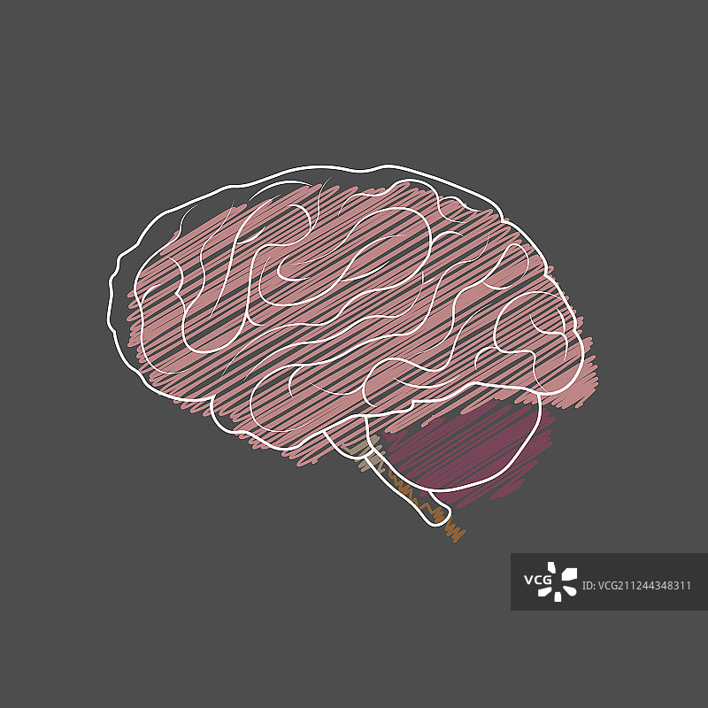 医学大脑思维侧面造型阴影图片素材