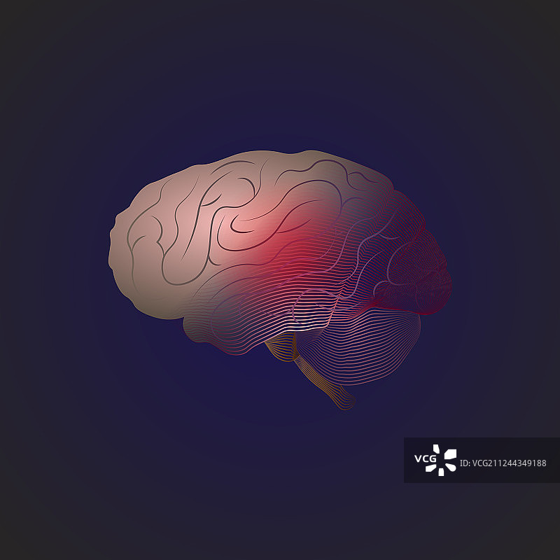 从实景到X射线效果的线条过渡图片素材