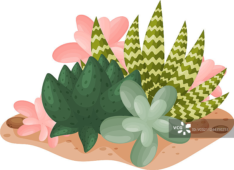 火祭和瓦苇图片素材