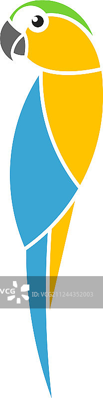 蓝色黄色金刚鹦鹉图片素材