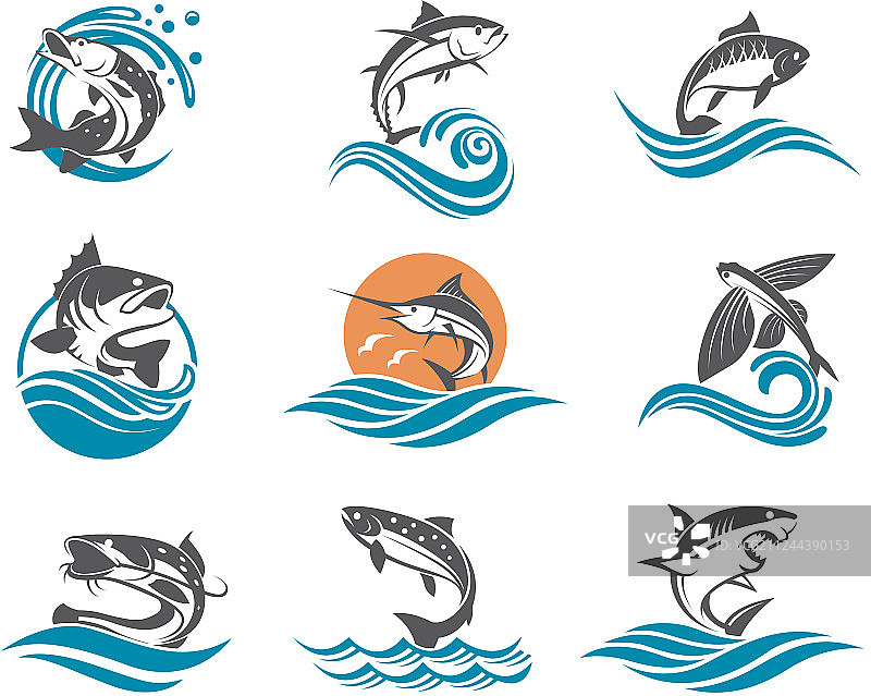 鱼合集图片素材