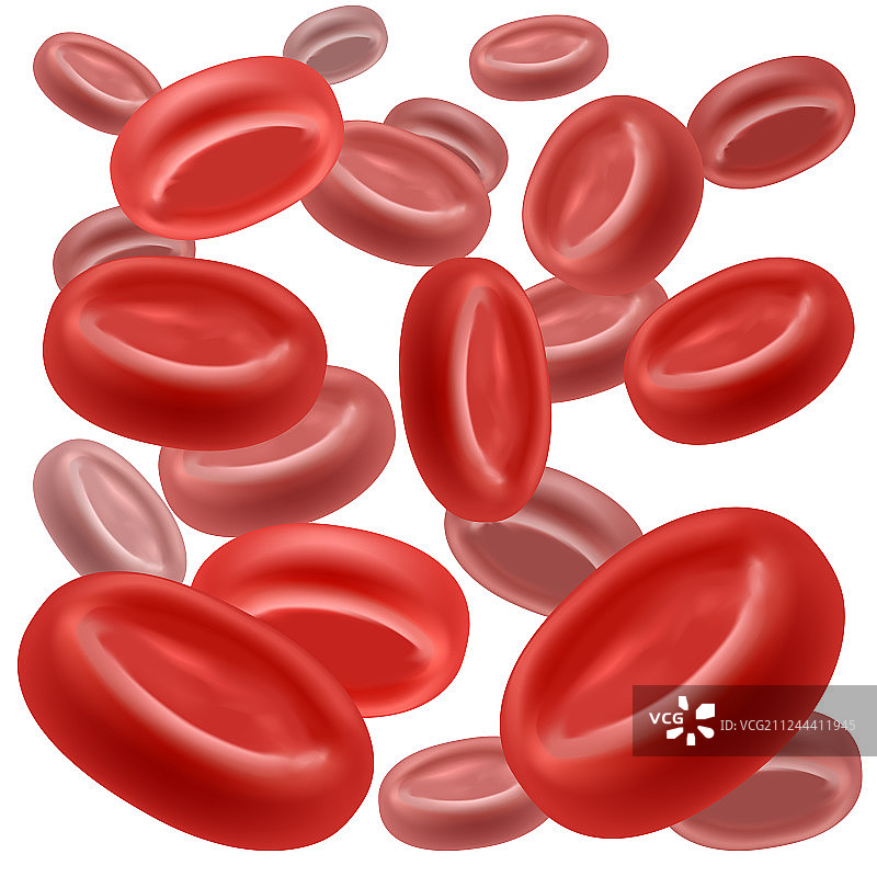 逼真血液红细胞背景卡片图片素材