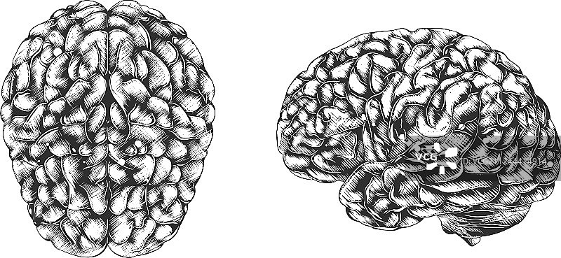 用于海报装饰和印刷的雕刻风格图片素材