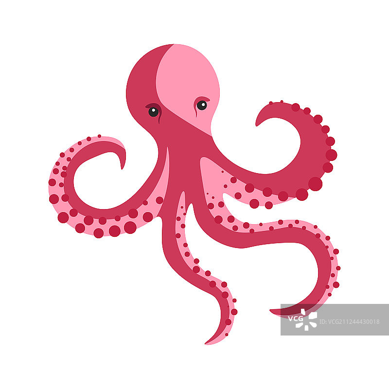 长触手圆形吸盘的粉色章鱼图片素材