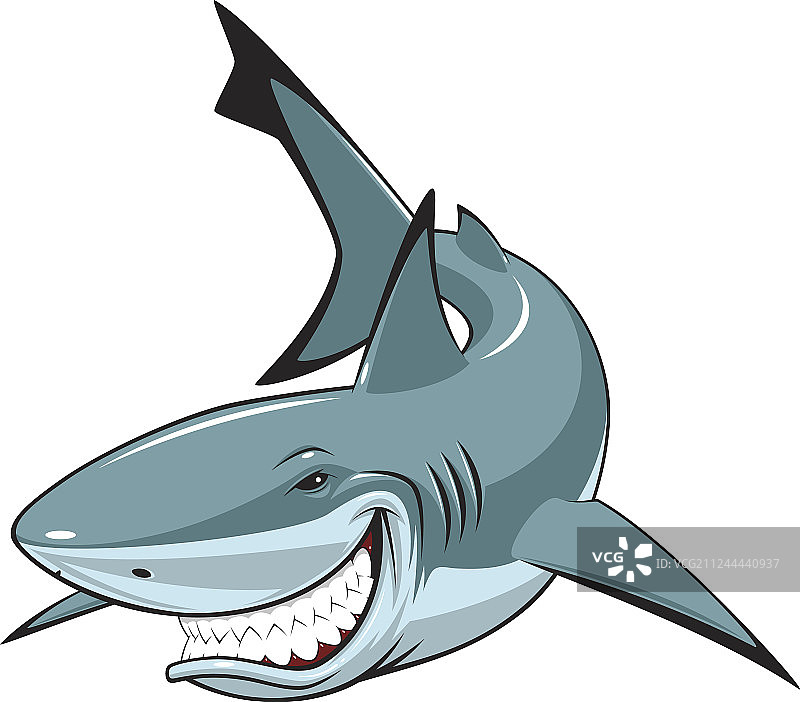 快乐的白色鲨鱼图片素材