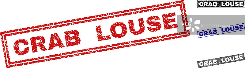 阴虱矩形水印图片素材