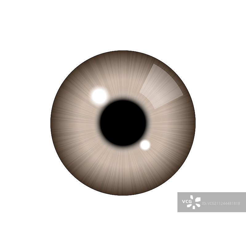 逼真人眼图片素材