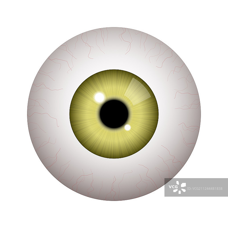 逼真的人眼图片素材