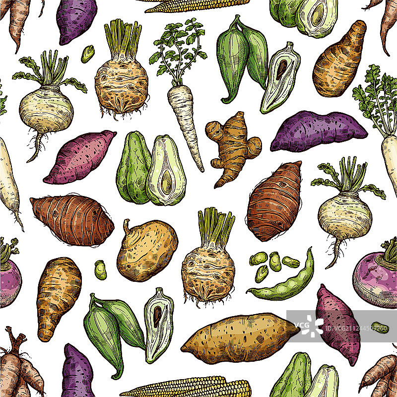奇异蔬菜和根无缝图案图片素材