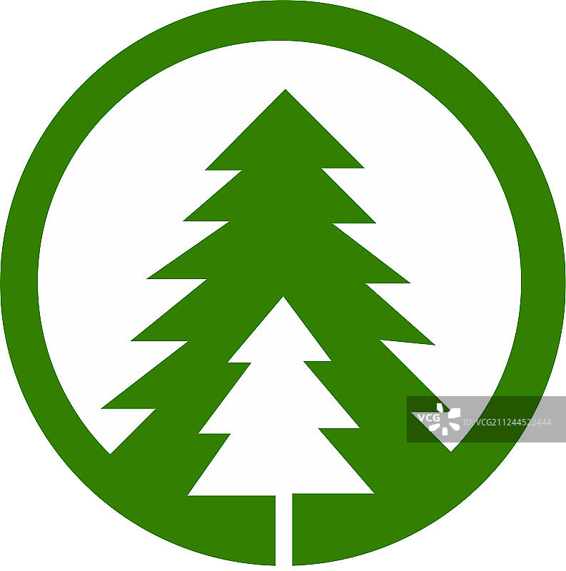 云杉树图片素材