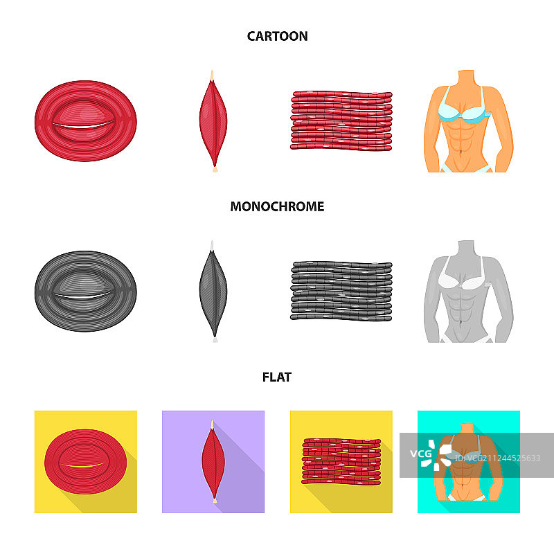 设计纤维和肌肉标志图片素材