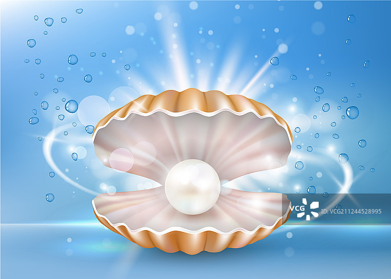 美丽海洋珍珠贝壳海报banner图片素材