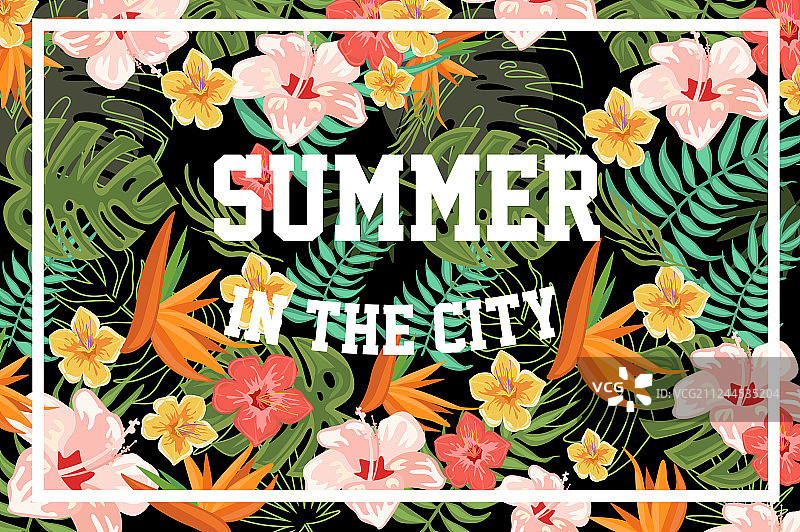 城市夏日：棕榈叶和鲜花图片素材