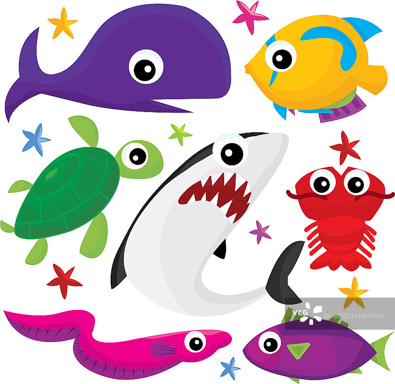 海洋生物图片素材