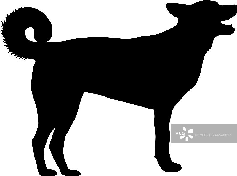 白色背景上的拉布拉多犬剪影图片素材