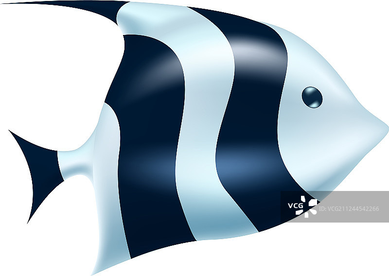 黑白热带鱼珊瑚礁鱼图片素材