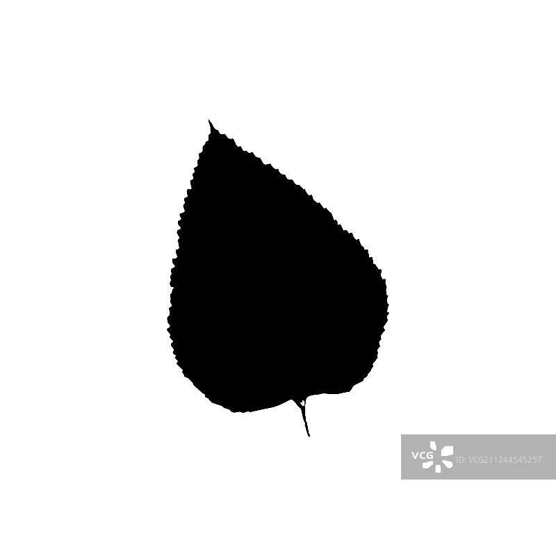 树叶轮廓植物和自然单图图片素材