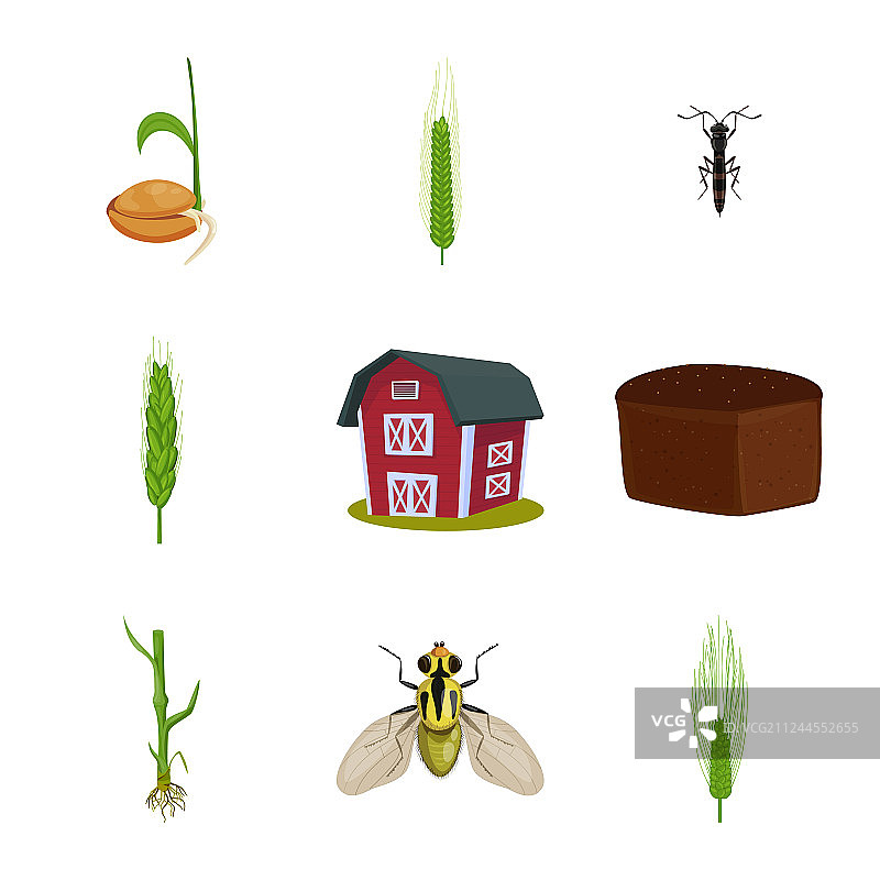 小麦和玉米图标设计图片素材