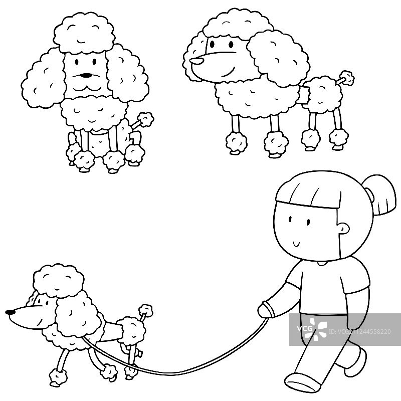 贵宾犬套装图片素材