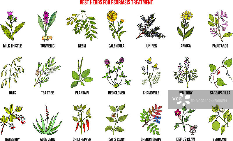 治疗牛皮癣的最佳天然草药图片素材