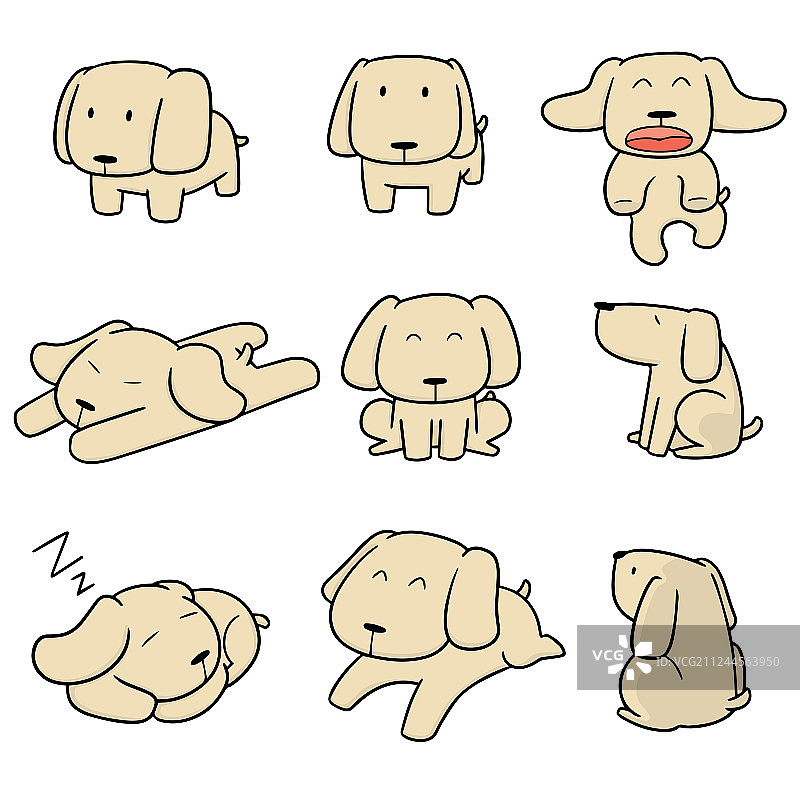 拉布拉多猎犬图片素材