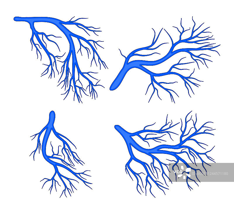 人体血管蓝色图标设计图片素材