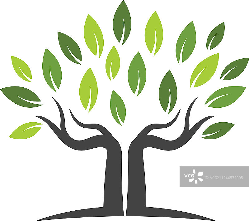 绿叶生态的理念图片素材