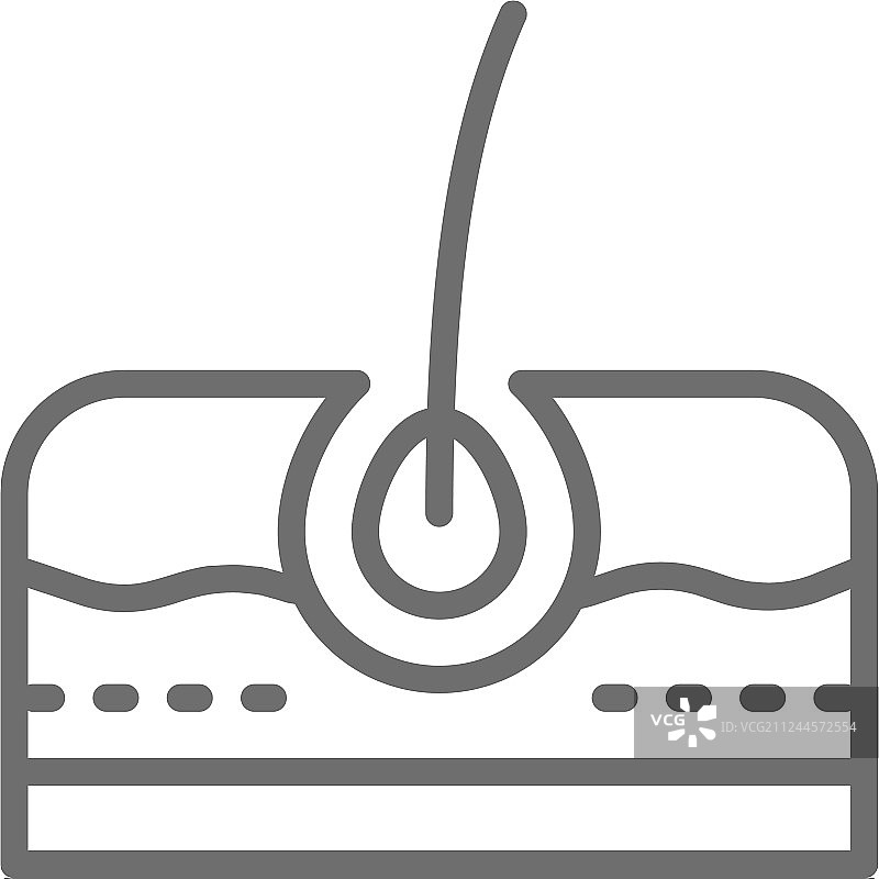 毛球皮肤层毛囊表皮线条图片素材