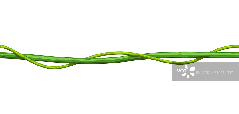 缠绕的野生连理树枝无缝丛林图案图片素材