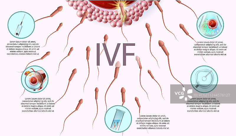 人类生殖医学banner图片素材