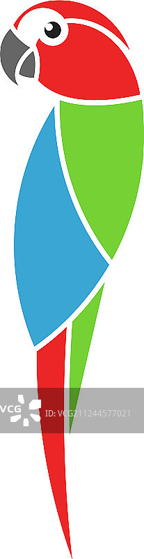 金刚鹦鹉图片素材