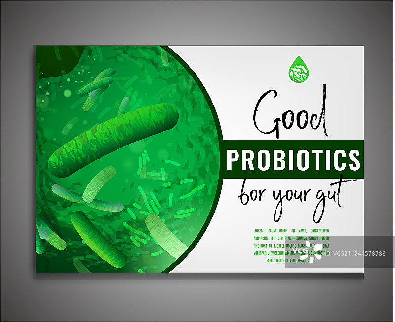 乳酸杆菌益生菌海报图片素材