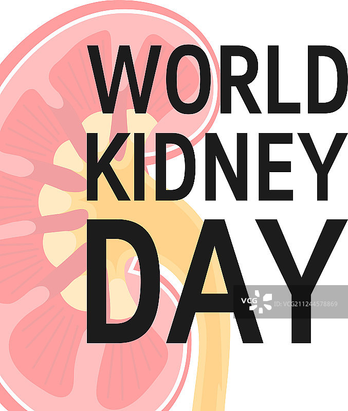 扁平风格世界肾脏日概念图片素材