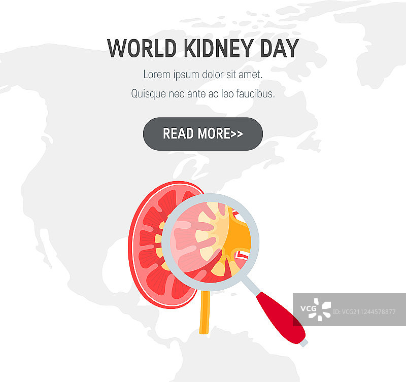 扁平风格世界肾脏日概念图片素材
