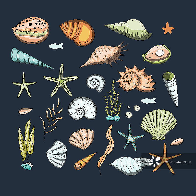 海洋异域贝壳海星组合图片素材