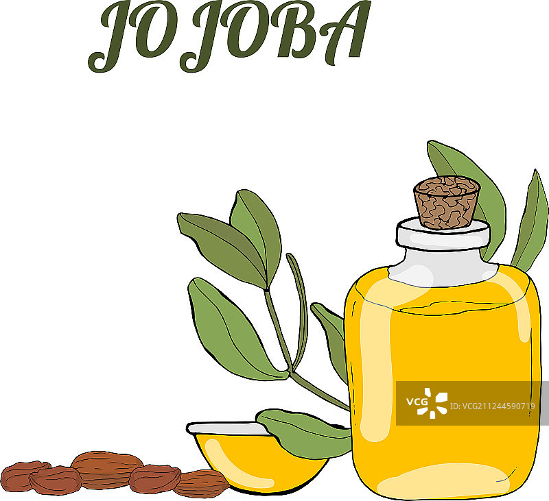 荷荷巴模板图片素材