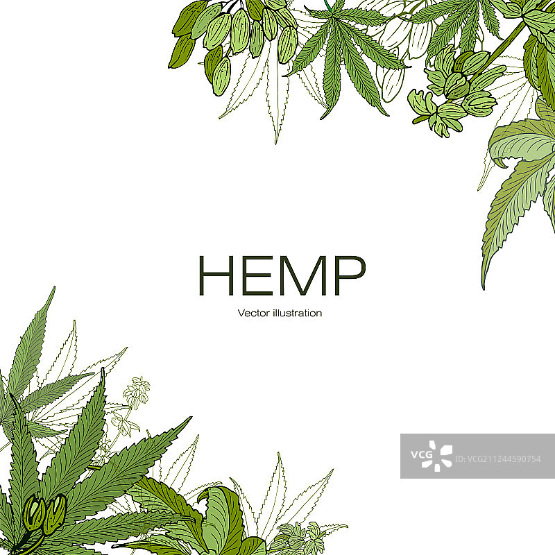 麻质模板3图片素材