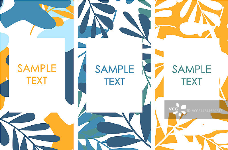 扁平热带棕榈叶图案封面图片素材