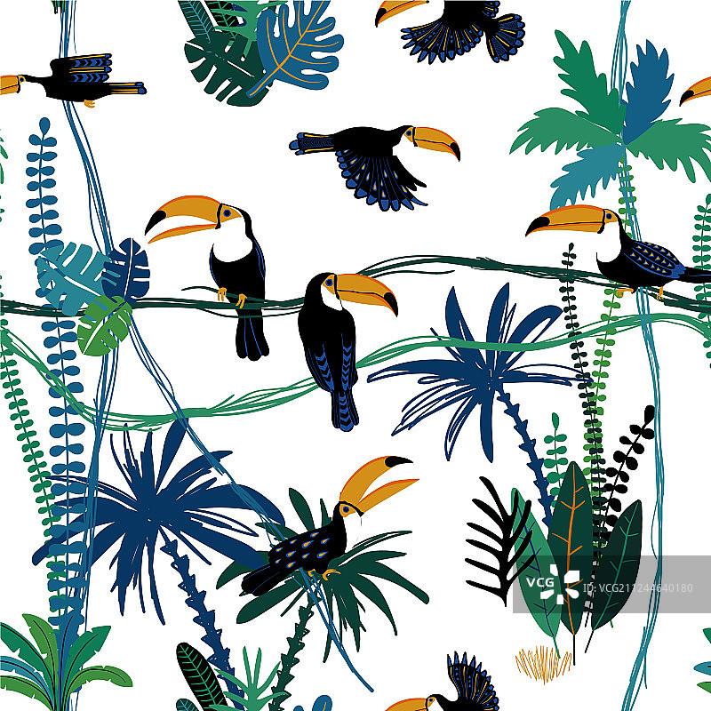 丛林巨嘴鸟无缝图案图片素材