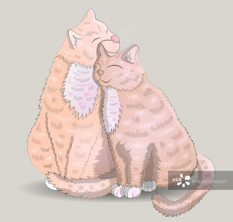 两只猫的浪漫爱情概念图片素材