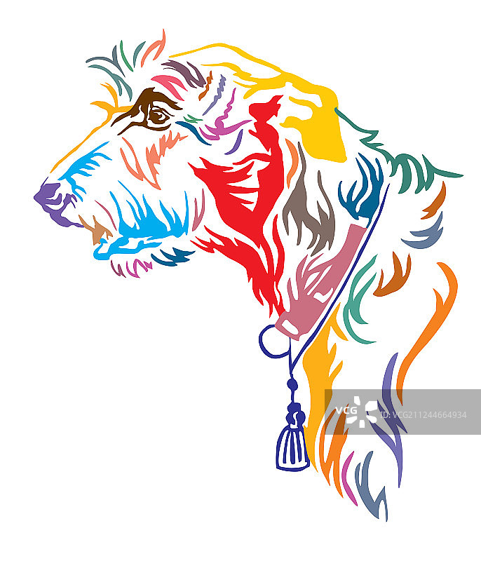 爱尔兰犬的彩色装饰肖像图片素材