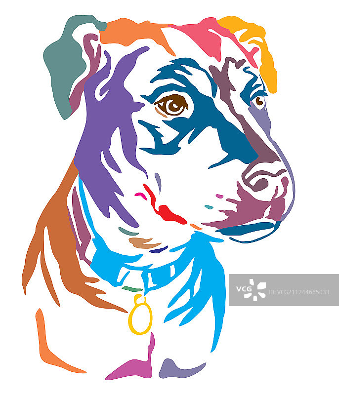 杂种犬彩色装饰肖像图片素材