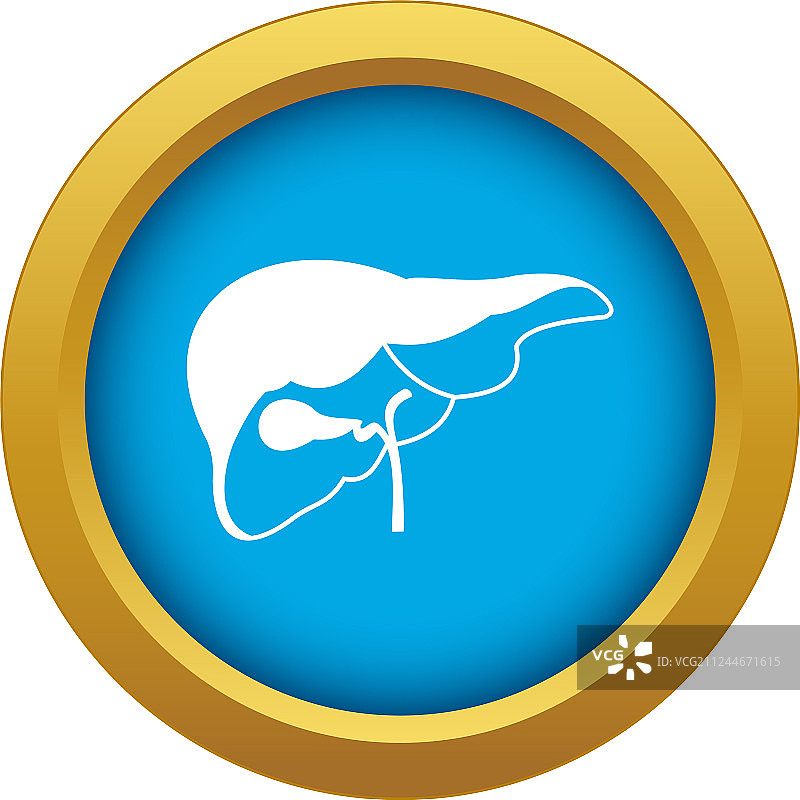 蓝色肝脏图标图片素材