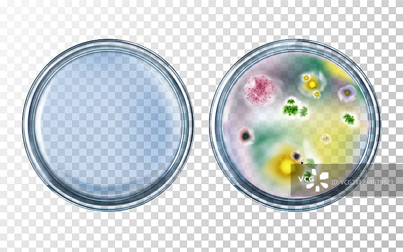 抗生素测试前后效果图片素材