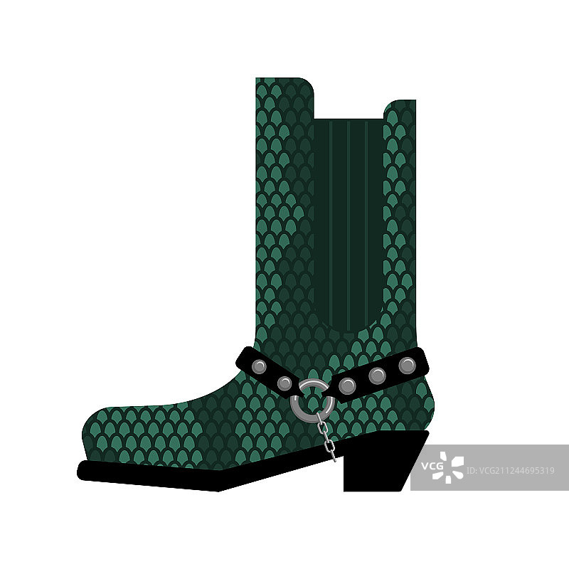 澳洲蟒蛇皮牛仔靴图片素材