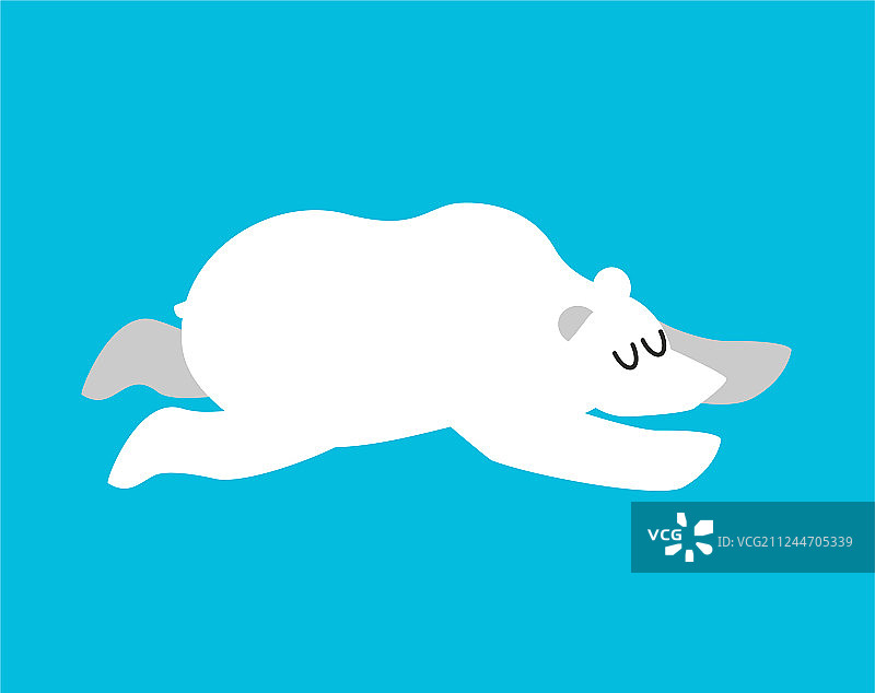 睡觉的北极熊北极和南极动物图片素材